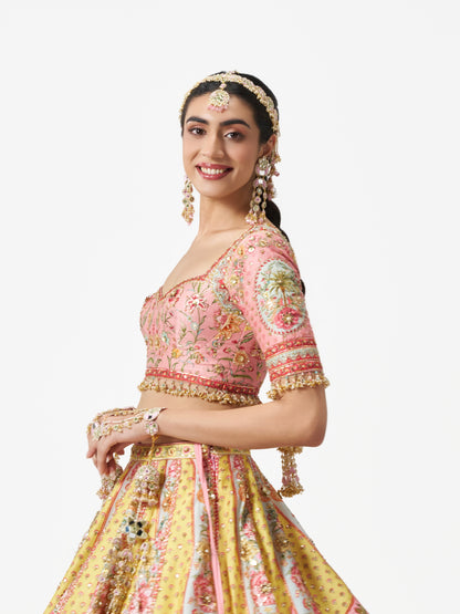 Dilruba Lehenga Set - Multi