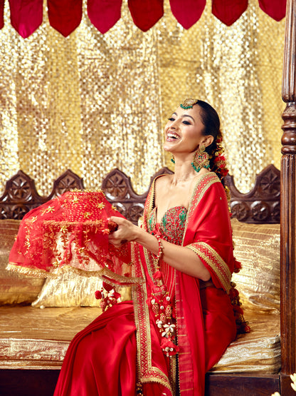 Tota Maina Corset Saree Set