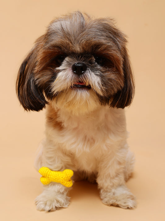 Bone Crochet Pet Rakhi - Yellow