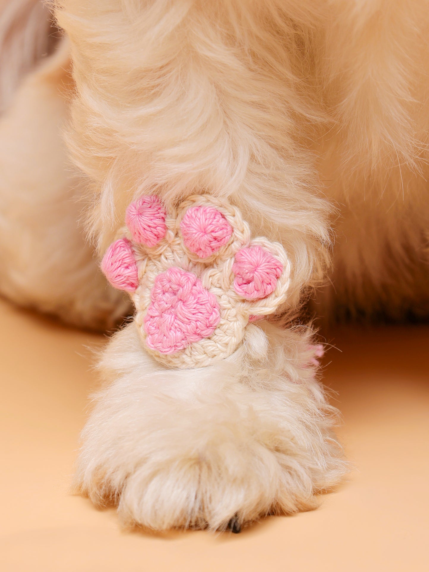 Paw Crochet Pet Rakhi - Pink